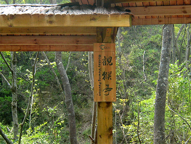 1_0001_IMG_2953.jpg 1_0001_IMG_2953.jpg