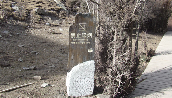 精神堡壘 精神堡壘