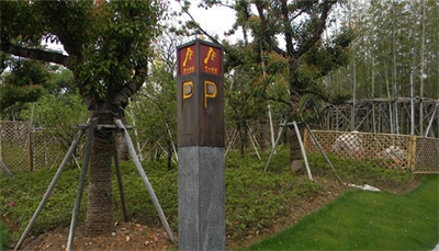 景區(qū)標(biāo)識(shí)存在的問(wèn)題