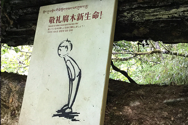 旅游景區(qū)標(biāo)牌 旅游景區(qū)標(biāo)牌