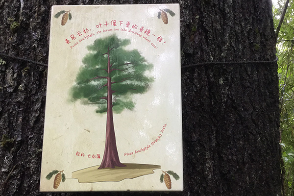 旅游景區(qū)標(biāo)牌 旅游景區(qū)標(biāo)牌