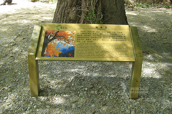 景區(qū)標(biāo)識(shí) 景區(qū)標(biāo)識(shí)