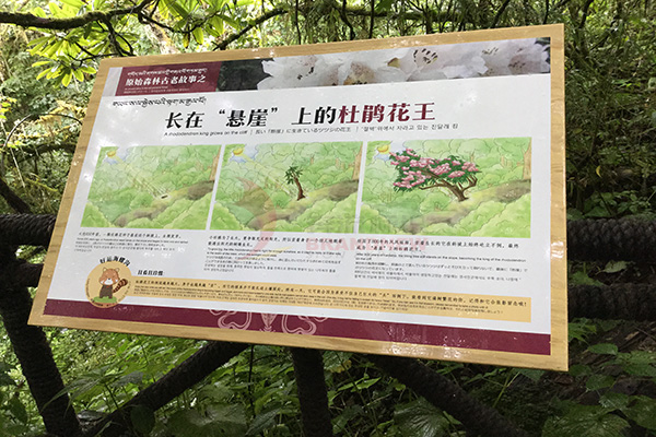 園林標(biāo)識(shí) 園林標(biāo)識(shí)