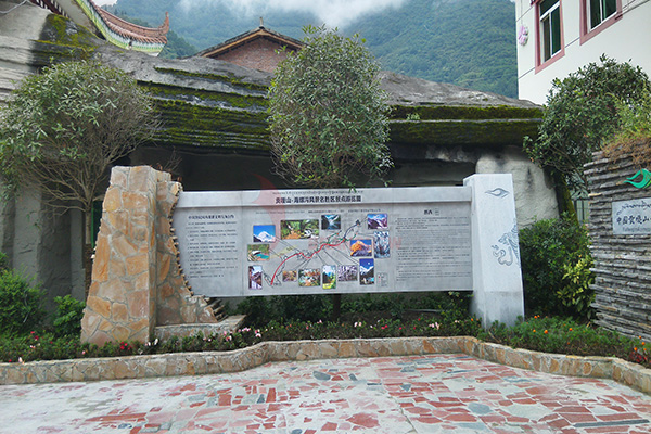 廣告導(dǎo)視系統(tǒng) 廣告導(dǎo)視系統(tǒng)