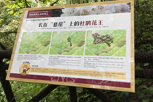 景區(qū)標(biāo)識(shí) 景區(qū)標(biāo)識(shí)